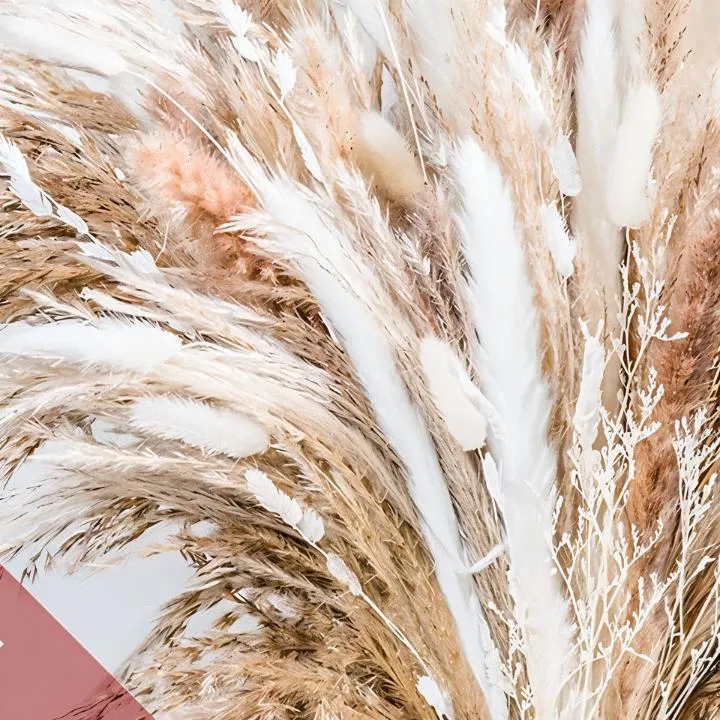 Cortaderia Pampas Grass Bouquet