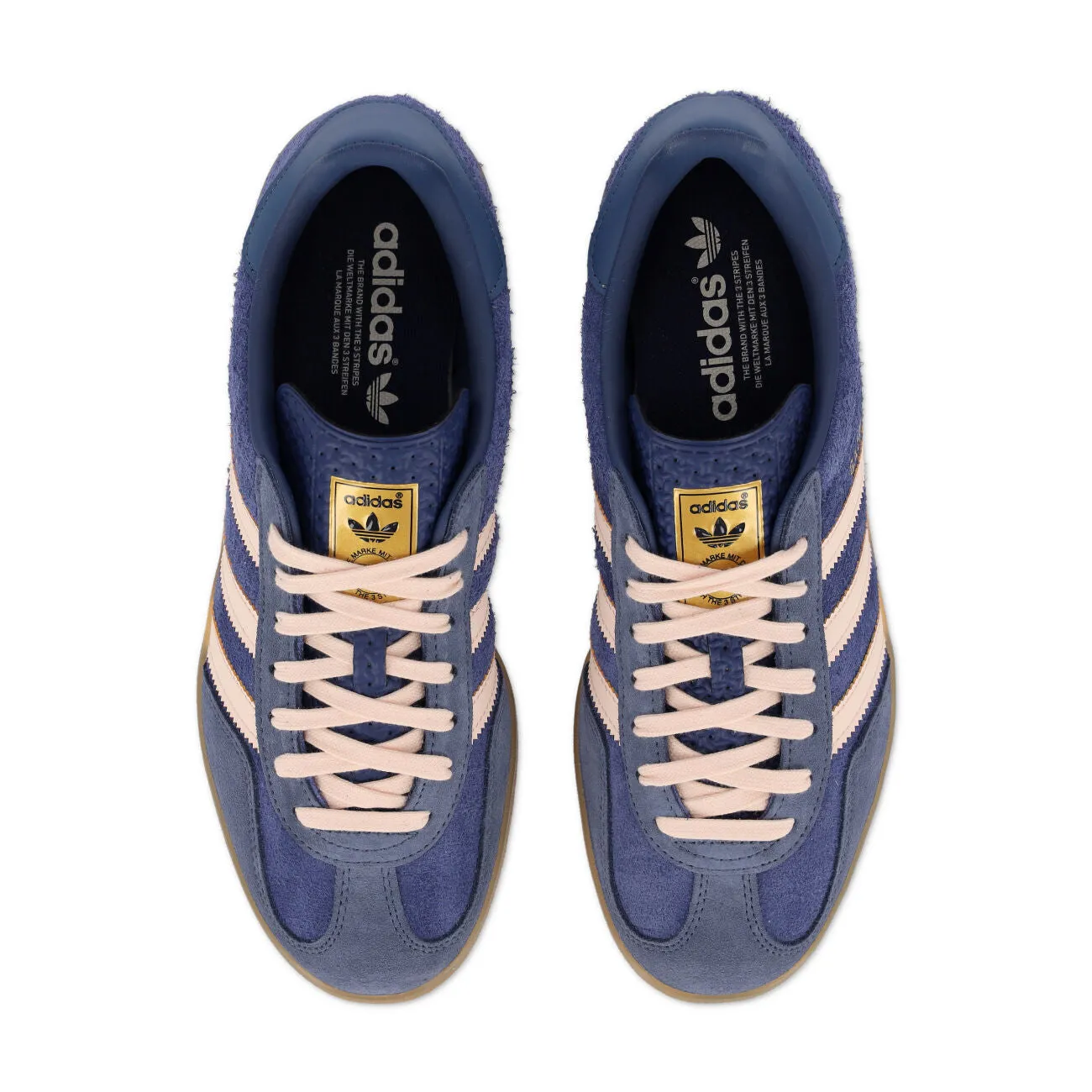 Gazelle Indoor